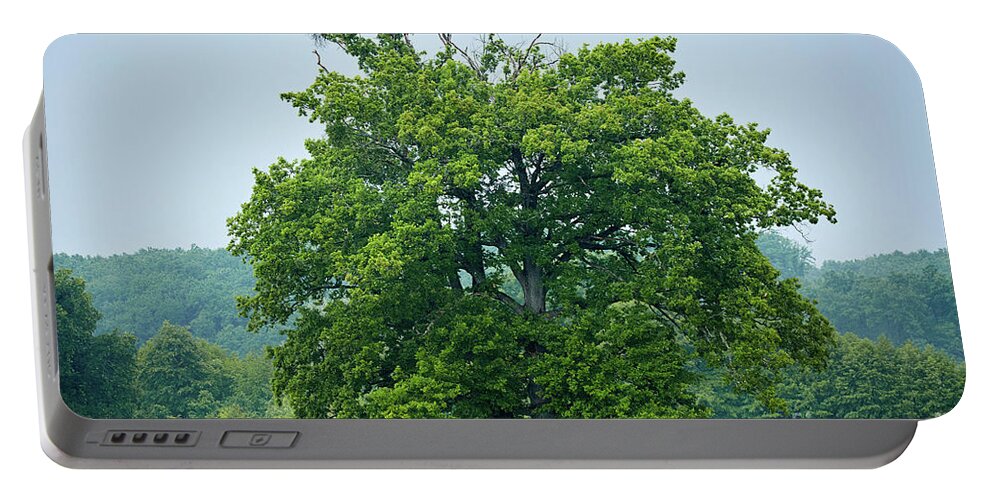 Beautiful Portable Battery Charger featuring the photograph Big old oak tree on a meadow by Ragnar Lothbrok