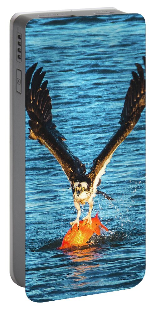 20170404 Portable Battery Charger featuring the photograph Big Orange Koi Fish Wins by Jeff at JSJ Photography