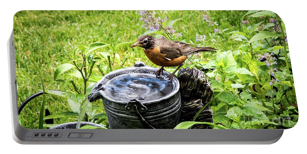 Plumage Portable Battery Charger featuring the photograph Big Red by Deborah Klubertanz
