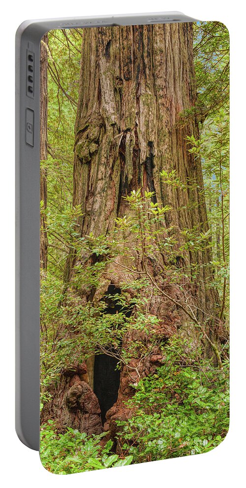 Landscape Portable Battery Charger featuring the photograph Big Red by John M Bailey