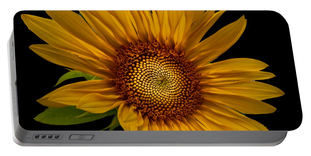 Art Portable Battery Charger featuring the photograph Big Sunflower by Debra and Dave Vanderlaan