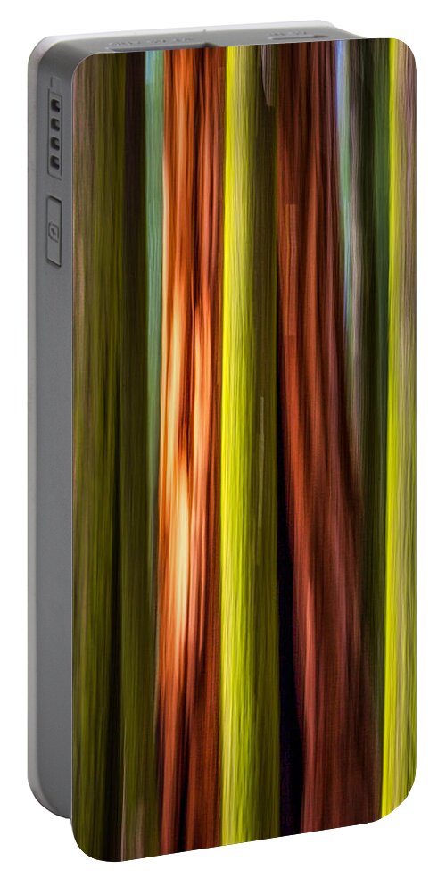 Plants Portable Battery Charger featuring the photograph Big Trees Abstract by Rikk Flohr