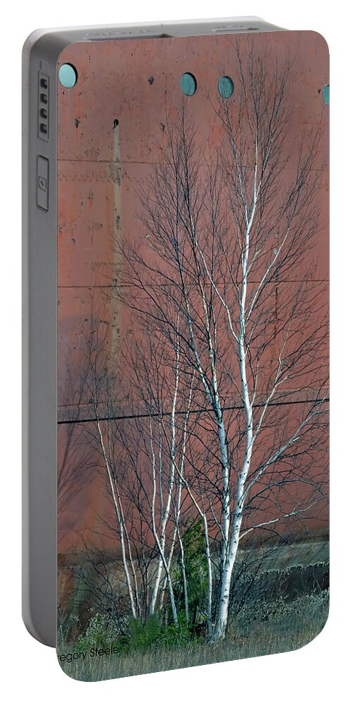 Tree Portable Battery Charger featuring the photograph Birch and ship by Gregory Steele