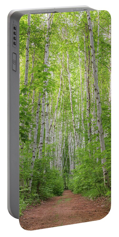 Birch Portable Battery Charger featuring the photograph Birch Path Spring #2 by White Mountain Images
