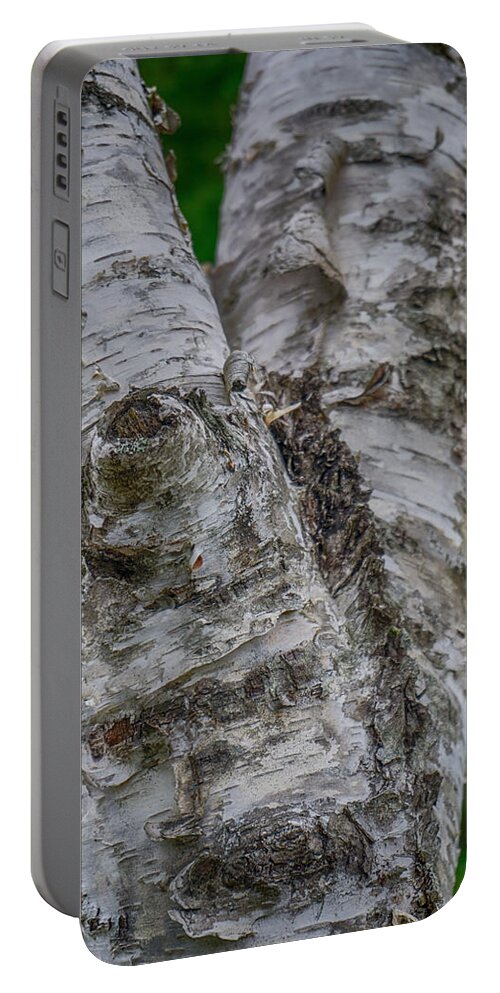 Indian Portable Battery Charger featuring the photograph Birch Tree by Amanda Jones
