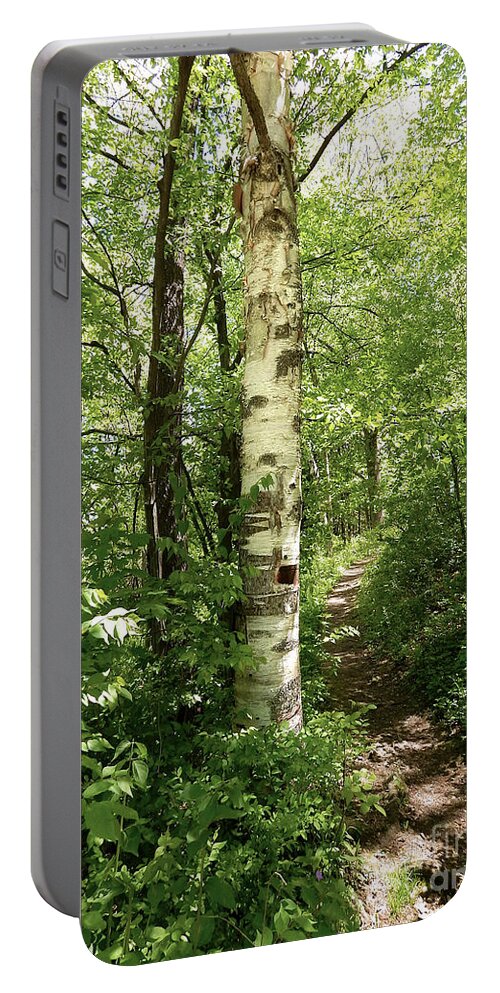 Photography Portable Battery Charger featuring the photograph Birch Tree Hiking Trail by Phil Perkins
