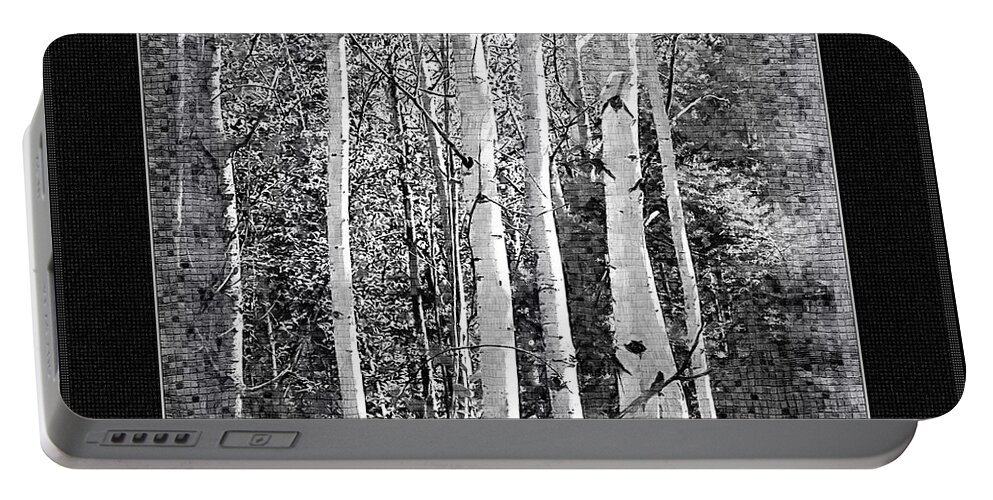 Birch Trees Portable Battery Charger featuring the photograph Birch Trees by Susan Kinney