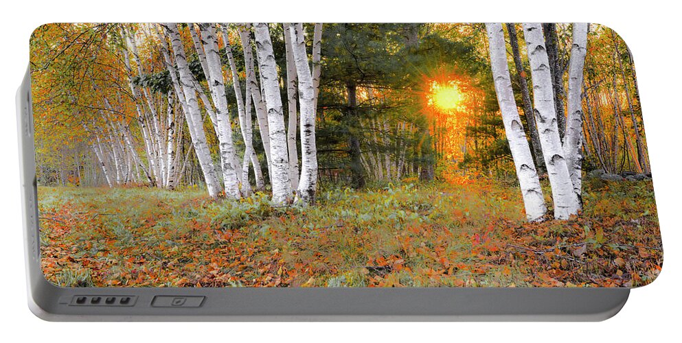 Fall Portable Battery Charger featuring the photograph Birches at Sunset by Jeff Cooper