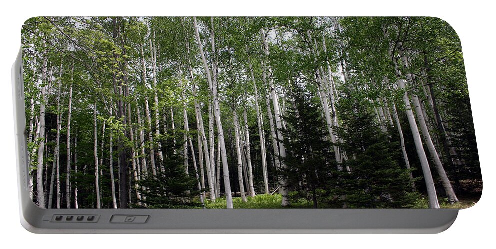 New Hampshire Portable Battery Charger featuring the photograph Birches by Heather Applegate