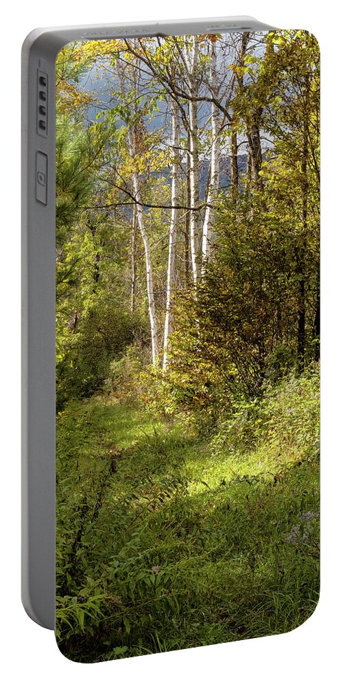 Autumn Birches Portable Battery Charger featuring the photograph Birches On An Autumn Path by Tom Singleton