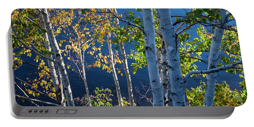 Trees Portable Battery Charger featuring the photograph Birches on lake shore by Elena Elisseeva