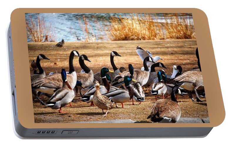 Canadian Geese Portable Battery Charger featuring the photograph Bird Gang Wars by Sumoflam Photography