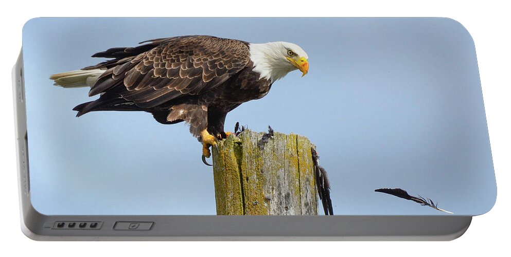 Eagle Portable Battery Charger featuring the photograph Bird Of A Feather by Joy McAdams
