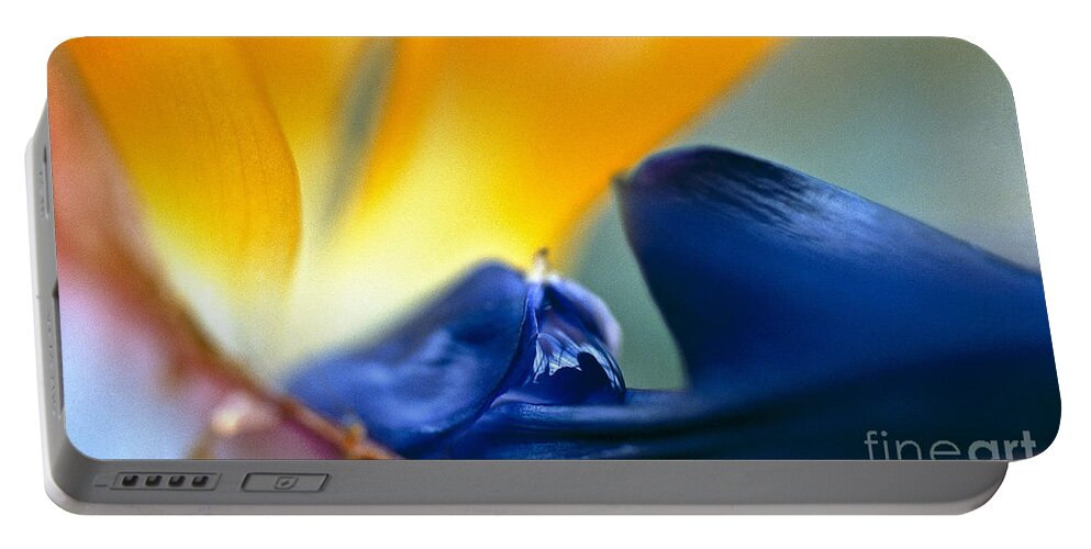 Strelitzia Portable Battery Charger featuring the photograph Bird-of-Paradise by Heiko Koehrer-Wagner