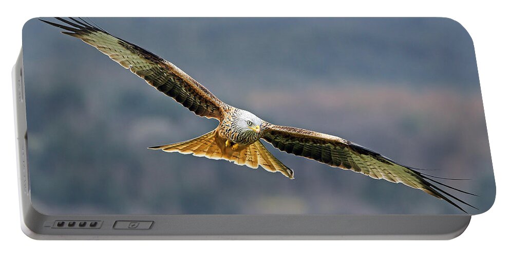 Accipitridae Portable Battery Charger featuring the photograph Bird of Prey by Grant Glendinning