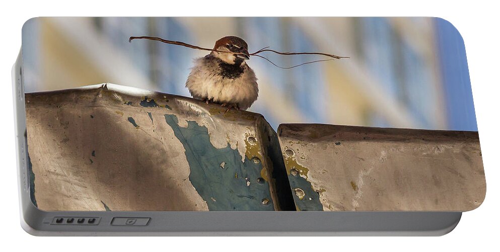 Beak Portable Battery Charger featuring the photograph Bird with Twig by Roslyn Wilkins