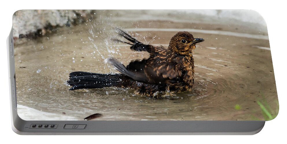 Blackbird Portable Battery Charger featuring the photograph Birdbath by Torbjorn Swenelius