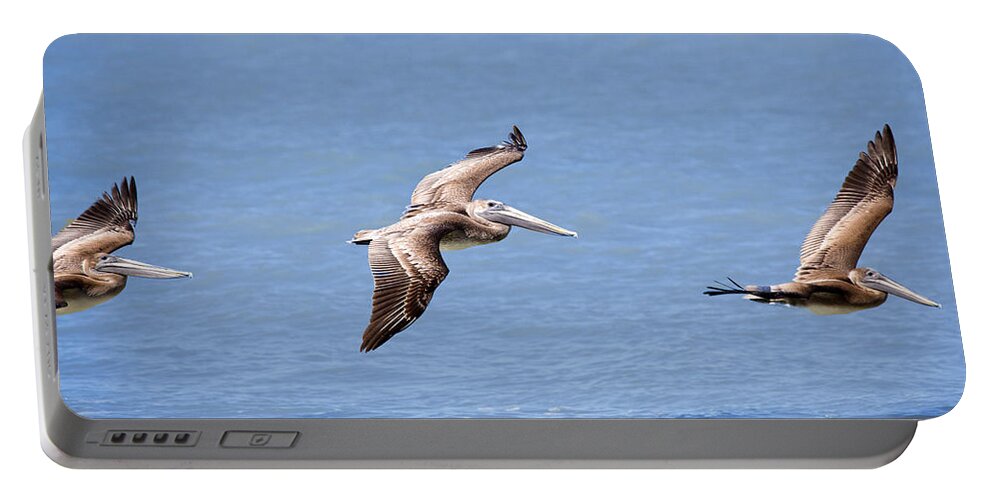 Birds Portable Battery Charger featuring the photograph Birds 1039 by Michael Fryd