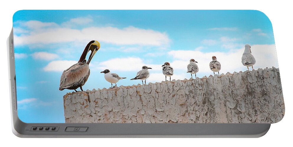 Bonnie Follett Portable Battery Charger featuring the photograph Birds Catching Up on News by Bonnie Follett