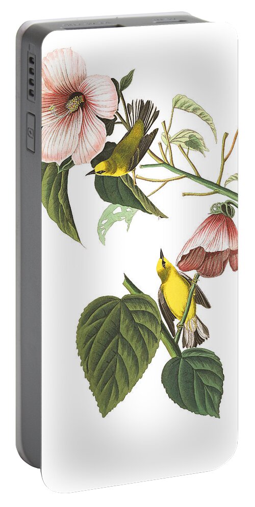 John James Audubon Portable Battery Charger featuring the photograph Birds Chat by Munir Alawi