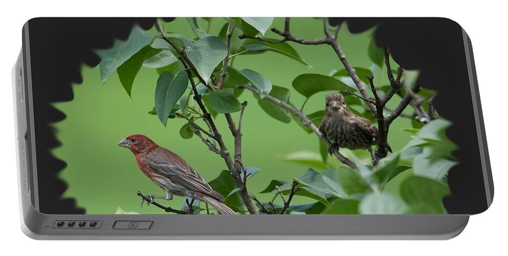 Birds Portable Battery Charger featuring the photograph Birds by Holden The Moment