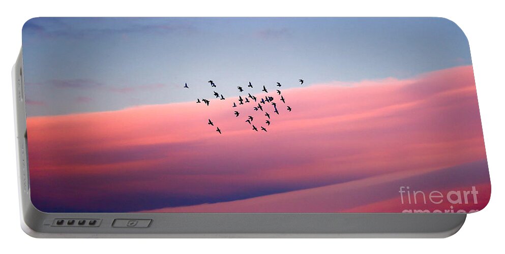 Air Portable Battery Charger featuring the photograph Birds migration by Anna Om