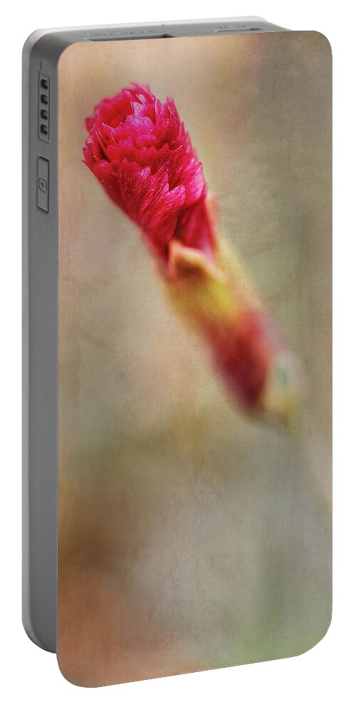 Bloom Portable Battery Charger featuring the photograph Birth of a Red Bloom by Robert FERD Frank