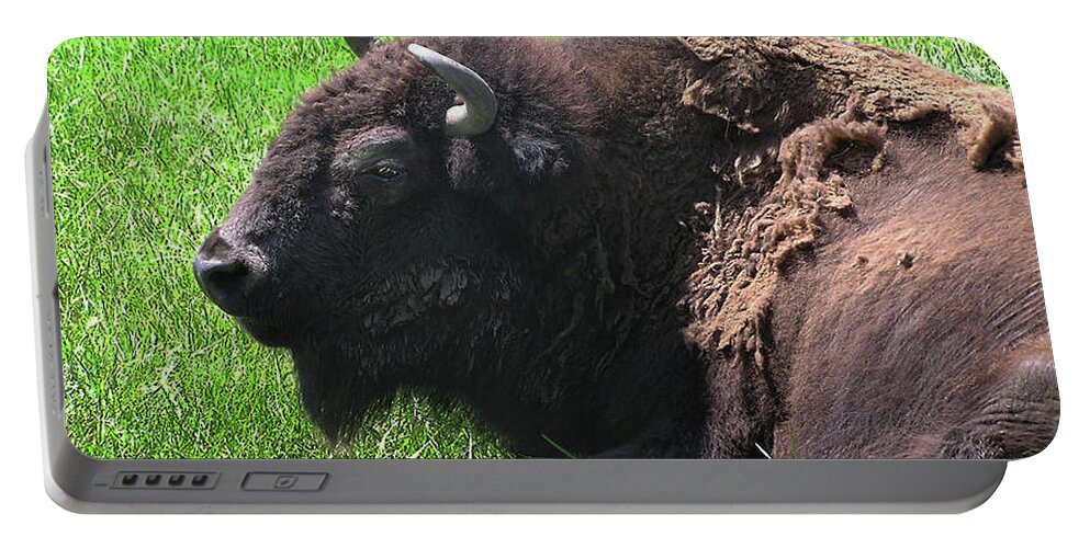 2d Portable Battery Charger featuring the photograph Bison by Brian Wallace