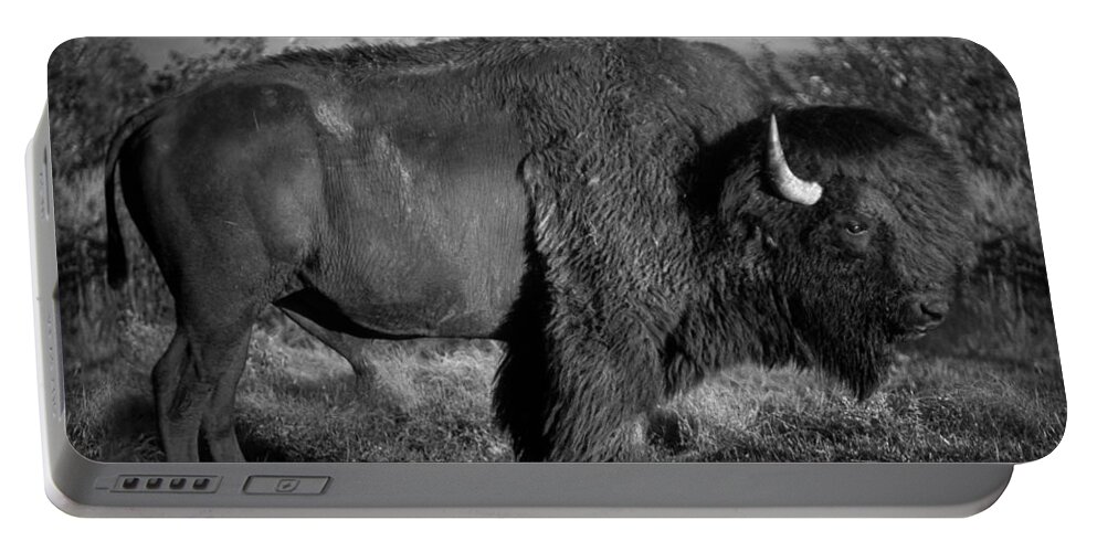 Bison Portable Battery Charger featuring the photograph Bison bull by Jeff Phillippi