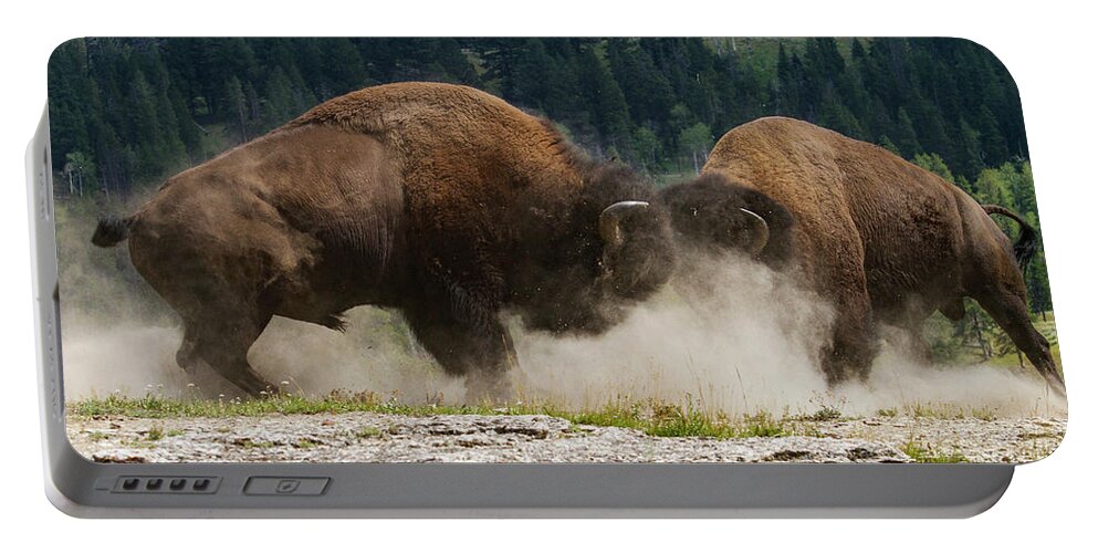 Mark Miller Photos Portable Battery Charger featuring the photograph Bison Duel by Mark Miller