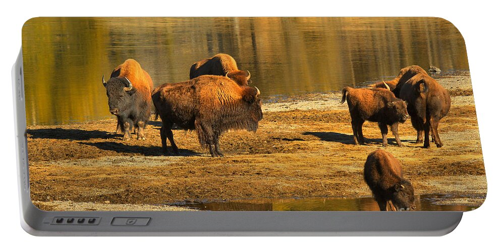 Bison Portable Battery Charger featuring the photograph Bison Family Crossing by Adam Jewell