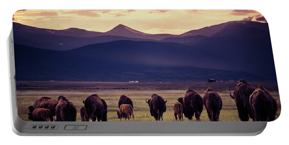American West Portable Battery Charger featuring the photograph Bison Herd into the sunset by Chris Bordeleau