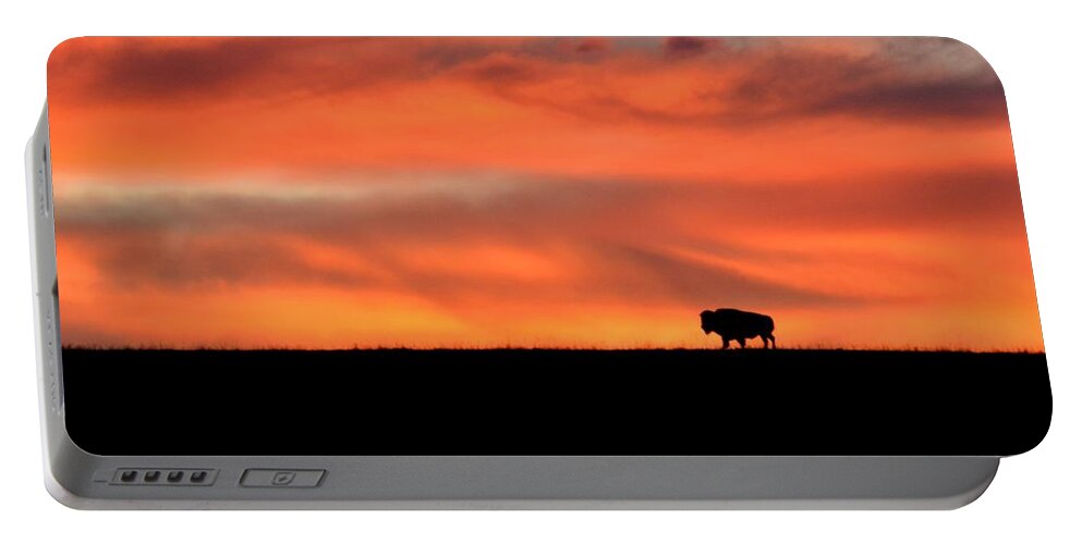  Portable Battery Charger featuring the photograph Bison in the Morning Light by Keith Stokes