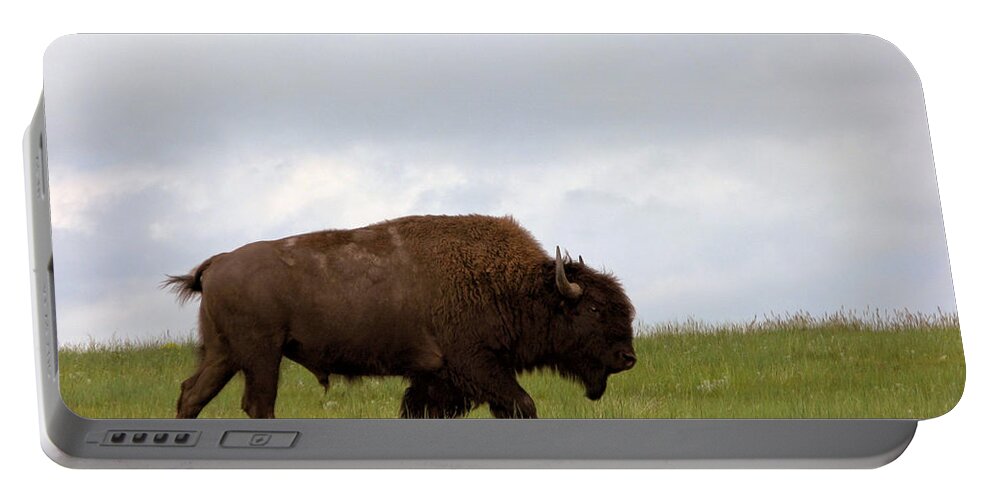 Bison Portable Battery Charger featuring the photograph Bison on the American Prairie by Olivier Le Queinec