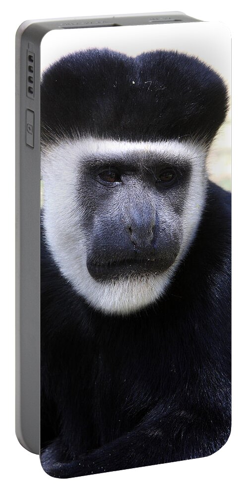 Colobus Monkey Portable Battery Charger featuring the photograph Black And White Colobus Monkey by Aidan Moran