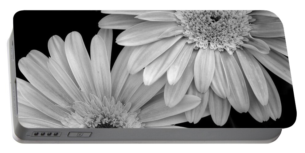 Flower Portable Battery Charger featuring the photograph Black and White Gerbera Daisies 1 by Amy Fose