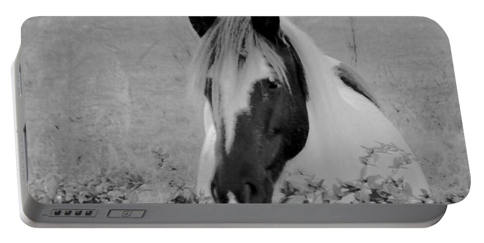 Horse Portable Battery Charger featuring the photograph Black and White Horse by Eileen Brymer