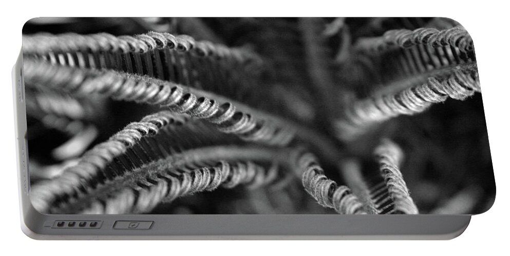 Palm Fronds Portable Battery Charger featuring the photograph Black and White Palm Abstract 3624 BW_2 by Steven Ward