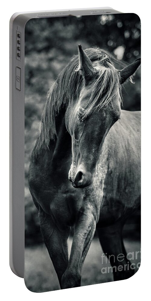 Horse Portable Battery Charger featuring the photograph Black and white portrait of horse by Dimitar Hristov