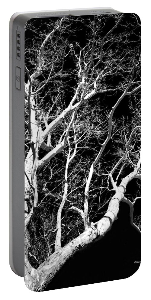 Tree Portable Battery Charger featuring the photograph Black and White Tree Art III by Christina Rollo