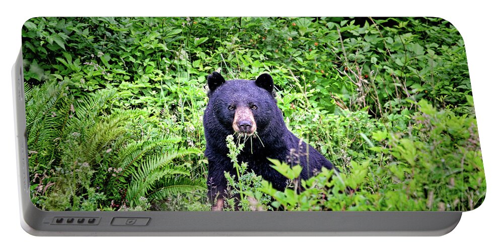 Bears Portable Battery Charger featuring the photograph Black Bear Eating His Veggies by Peggy Collins