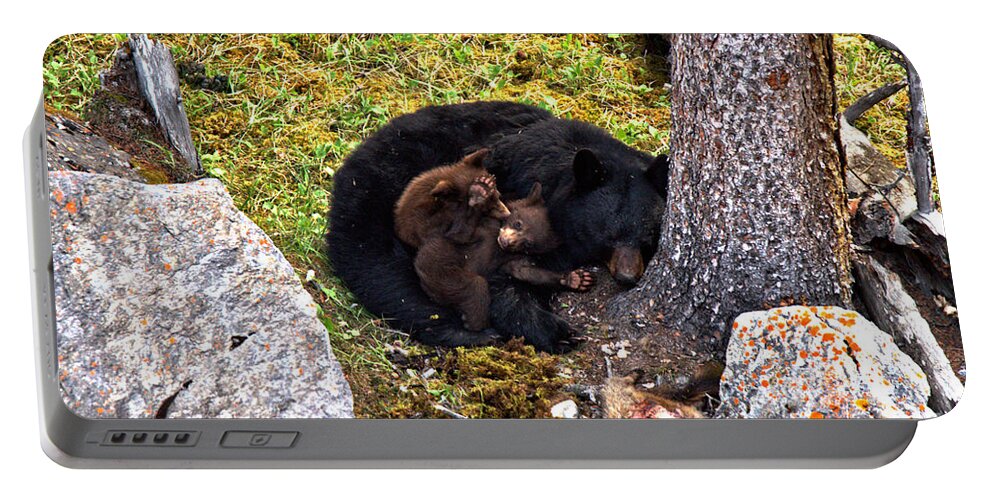 Black Bears Portable Battery Charger featuring the photograph Black Bear Family Nap by Adam Jewell