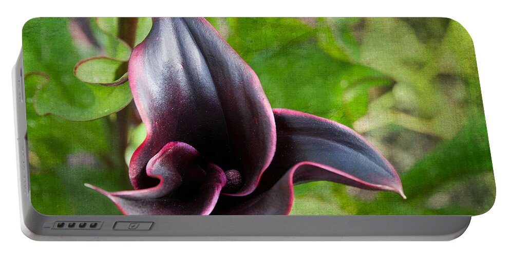 Black Calla Lily Portable Battery Charger featuring the photograph Black Beauty by Terri Harper