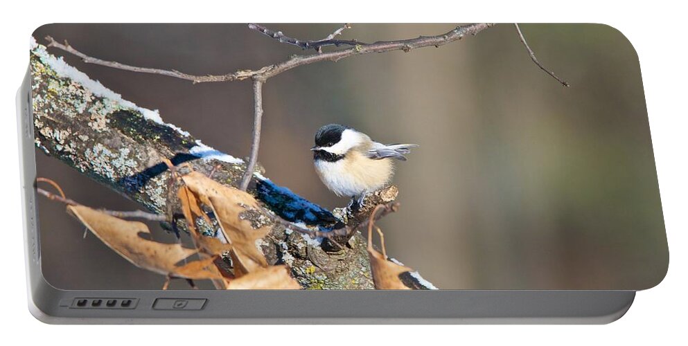 Tagspoecile Portable Battery Charger featuring the photograph Black Capped Chickadee 1134 by Michael Peychich