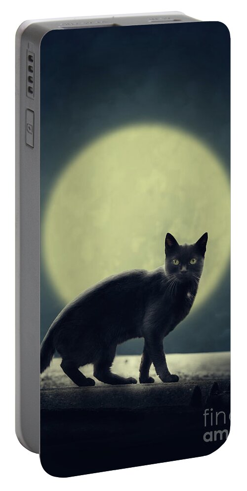 Halloween Portable Battery Charger featuring the digital art Black cat and full moon by Jelena Jovanovic