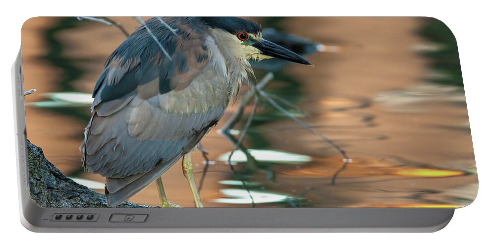 Nycticorax Nycticorax Portable Battery Charger featuring the photograph Black-crowned Night Heron by Jonathan Nguyen