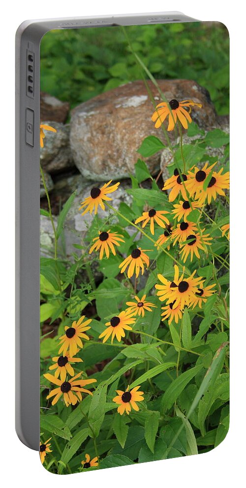 Landscape Portable Battery Charger featuring the photograph Black Eyed Susan by Doug Mills