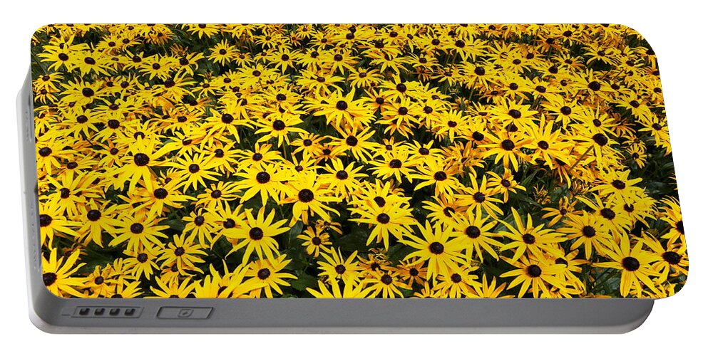 Black Eyed Susans Portable Battery Charger featuring the photograph Black eyes by Imagery-at- Work