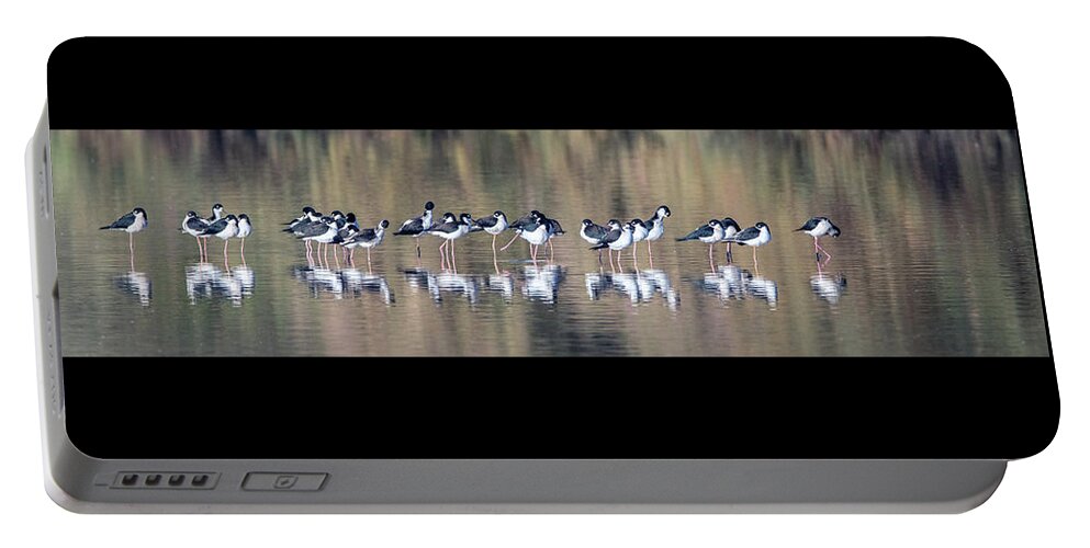 Black-necked Portable Battery Charger featuring the photograph Black-necked Stilts 0390-120717-1cr by Tam Ryan