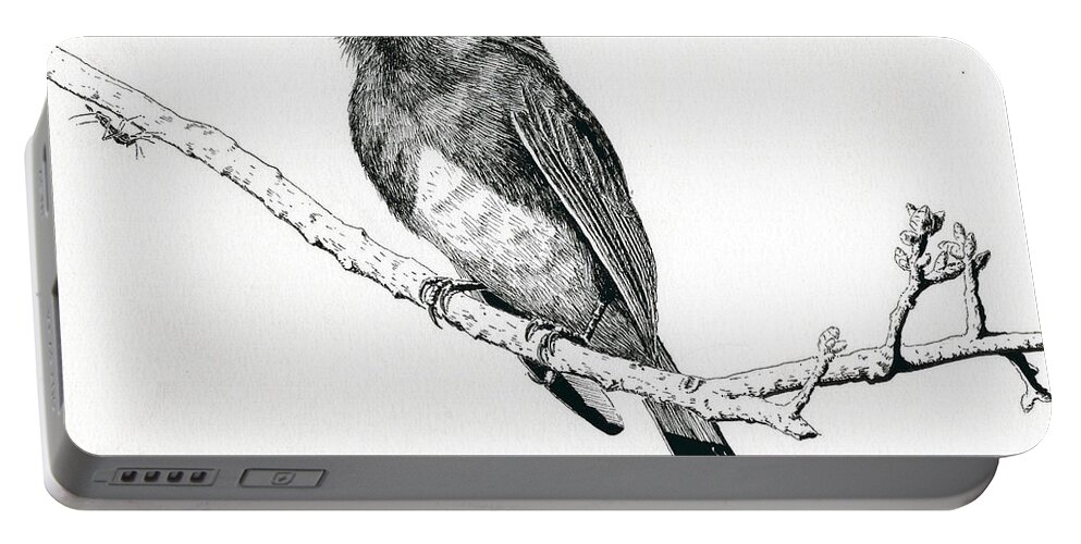 Phoebe Portable Battery Charger featuring the drawing Black Phoebe by Timothy Livingston
